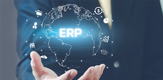ERP Systems for Diverse Manufacturing Sectors
